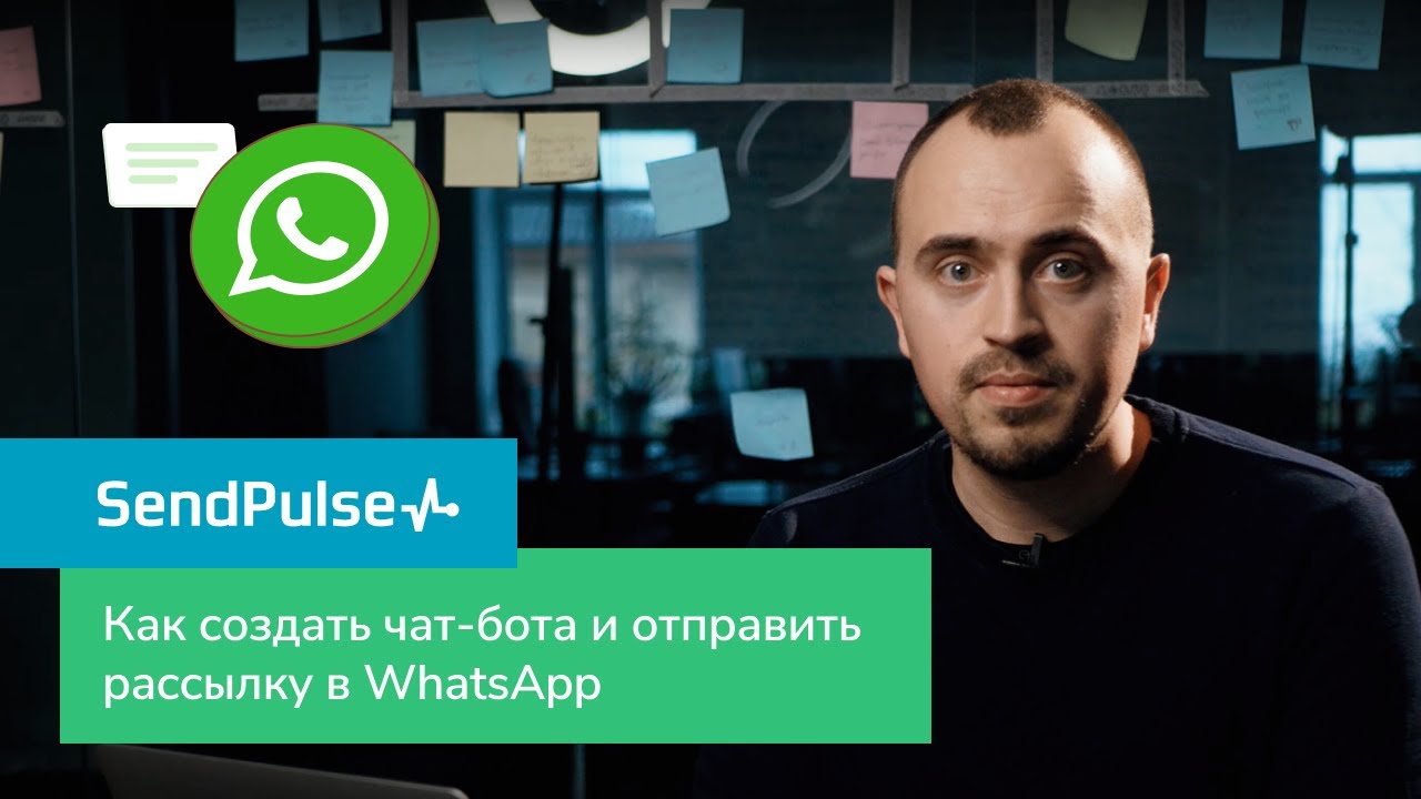 Как отправлять массовые и автоматические рассылки в WhatsApp